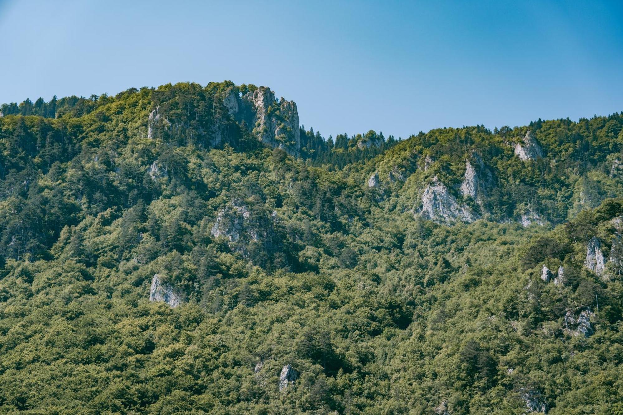 Vucja Gora Foca Exterior foto